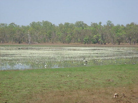 Leaning Tree Lagoon Nature Park - Darwin Holiday 1