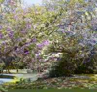 Leis Park - Darwin Holiday