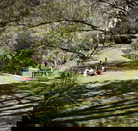 Leura Cascades picnic area - Darwin Holiday