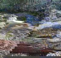 Liffey Falls Reserve - Darwin Holiday