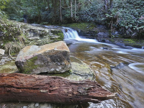 Liffey Falls Reserve - Darwin Holiday 0