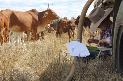 Longreach School Of Distance Education - Darwin Holiday 2