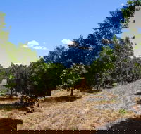 MacNuts WA Shop and Factory - Darwin Holiday