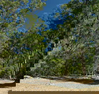 Maidens Tuart Forest - Darwin Holiday