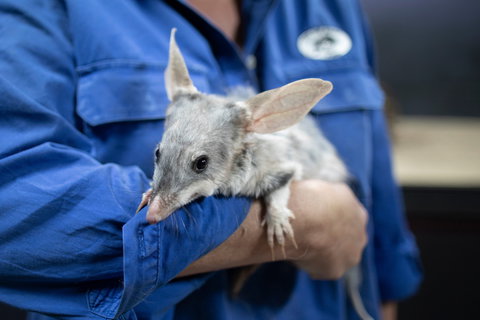 Matilda Way - Darwin Holiday 2