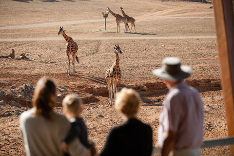 Monarto Safari Park - Darwin Holiday 0