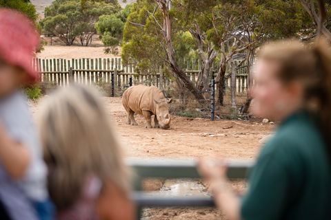 Monarto Safari Park - Darwin Holiday 1