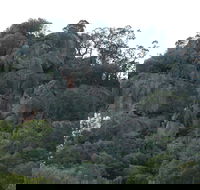 Mount Yarrowyck Nature Reserve - Darwin Holiday