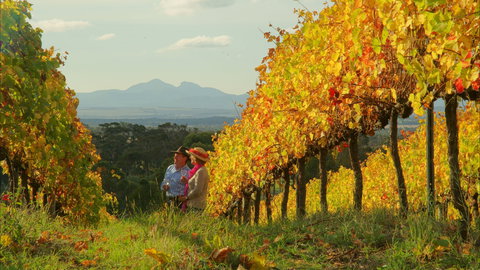 Mount Barker - Darwin Holiday 0