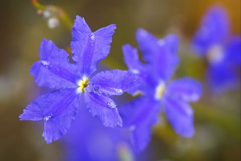 Mount Madden Scenic Drive - Darwin Holiday 0