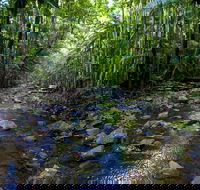 Nambucca Valley - Darwin Holiday