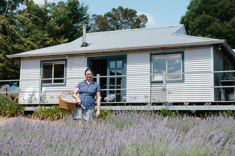 Nannup Lavender Farm - Darwin Holiday 1