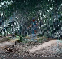 Nerang Mountain Bike Trails - Darwin Holiday