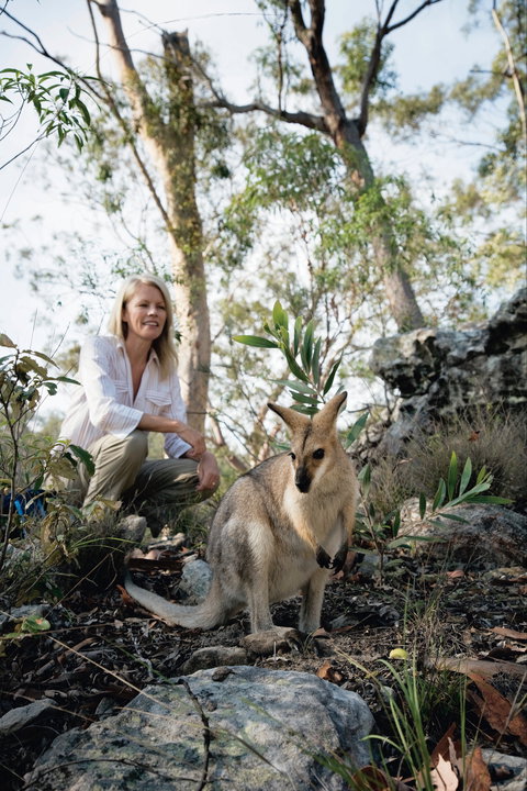 North Burnett - Mount Perry (via Monto) To Biggenden To Childers - Darwin Holiday 2