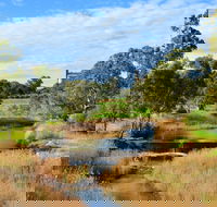 Owen  Hamley Bridge - Darwin Holiday