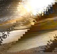 Parramatta River Cycleway - Darwin Holiday