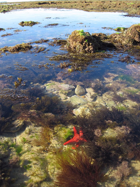 Point Danger Marine Sanctuary - Darwin Holiday 1