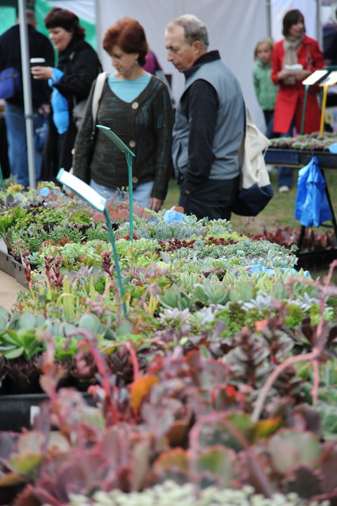 Portsea Market - Darwin Holiday 0