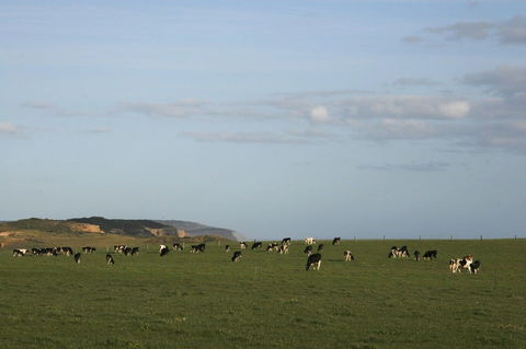 Port Campbell - Darwin Holiday 2