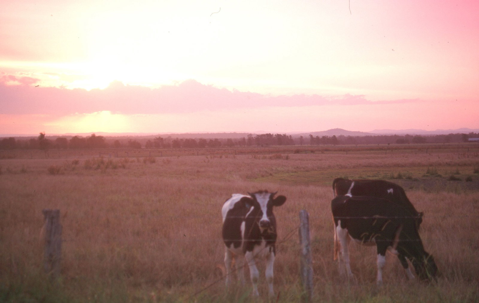 Pyree NSW Darwin Holiday