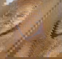 Quilpie Airport Mini Museum and Wool Scour - Darwin Holiday