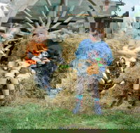 Rain Hayne and Shine Farmyard - Darwin Holiday