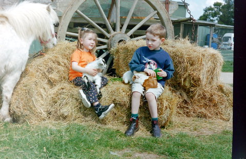 Rain Hayne And Shine Farmyard - Darwin Holiday 0