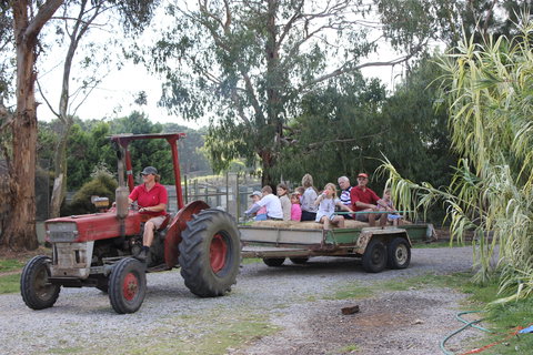 Rain Hayne And Shine Farmyard - Darwin Holiday 1
