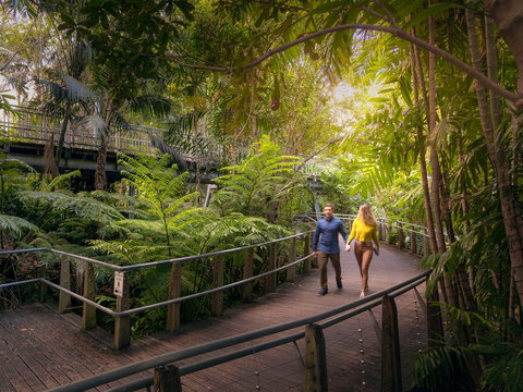 Roma Street Parkland - Darwin Holiday 2