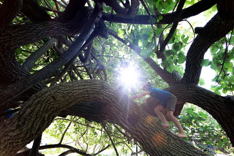 Scarborough Beach Park - Darwin Holiday 0