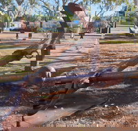 SS Colac - Darwin Holiday