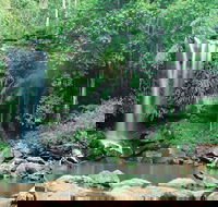 Tamborine National Park - Darwin Holiday