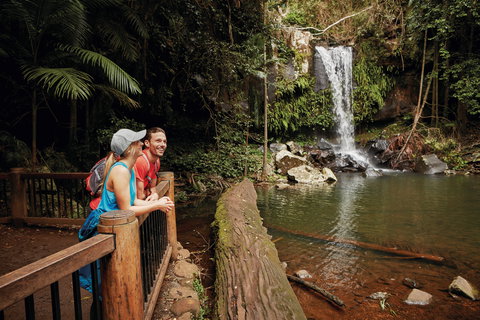 Tamborine National Park - Darwin Holiday 1