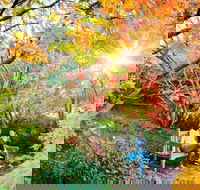 The Blue Mountains Botanic Garden Mount Tomah - Darwin Holiday