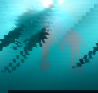 The Arches Marine Sanctuary