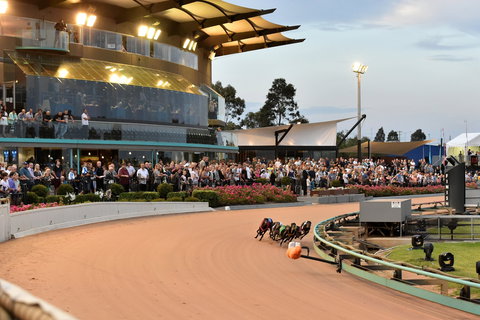 The Meadows - Darwin Holiday 1