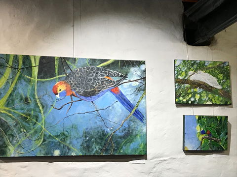 The Coach House Studio - Darwin Holiday 2