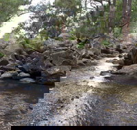 Threlfall Walking Track - Darwin Holiday