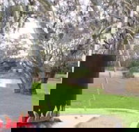 Trangie Big Billy - Darwin Holiday