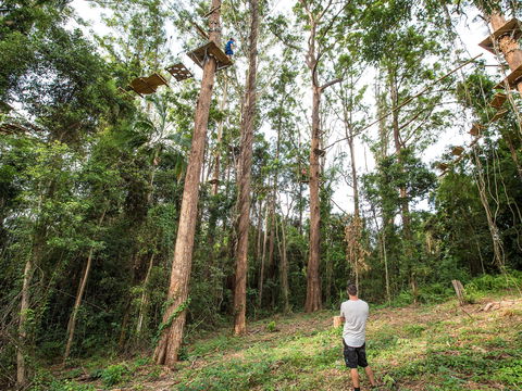 TreeTop Challenge - Sunshine Coast - Darwin Holiday 1