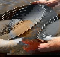 Tuena Panning for Gold - Darwin Holiday