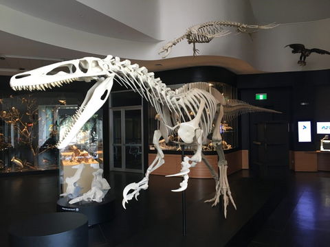 UNE Natural History Museum - Darwin Holiday 0