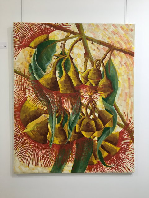 Wacky Bird Gallery - Darwin Holiday 1