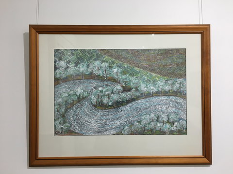 Wacky Bird Gallery - Darwin Holiday 2