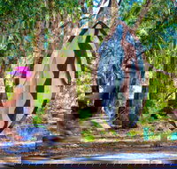 Wagirra Trail and Yindyamarra Sculpture Walk - Darwin Holiday