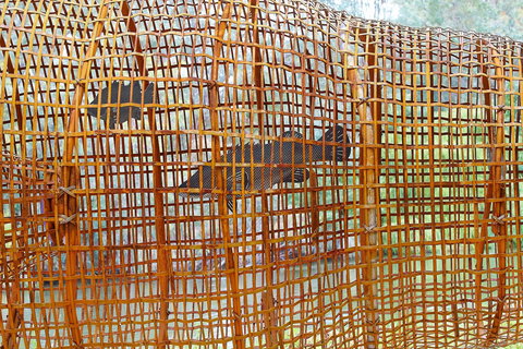 Wagirra Trail And Yindyamarra Sculpture Walk - Darwin Holiday 2