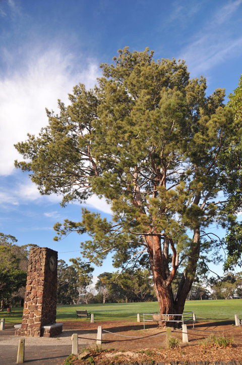 Wattle Park - Darwin Holiday 2