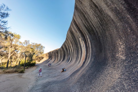 Wave Rock Wildflower Trail - Darwin Holiday 0