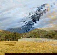 Weddin Mountains National Park - Darwin Holiday