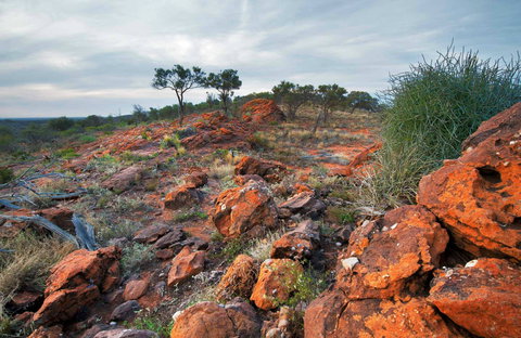 Western Ridge Walk - Darwin Holiday 0